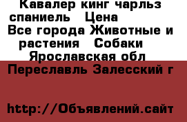 Кавалер кинг чарльз спаниель › Цена ­ 50 000 - Все города Животные и растения » Собаки   . Ярославская обл.,Переславль-Залесский г.